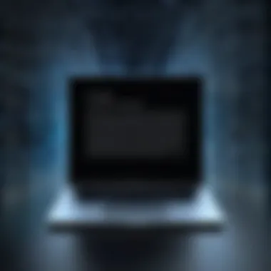 Illustration of privacy risks associated with the dark web