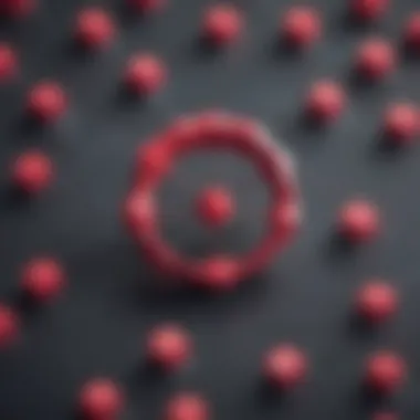 Crafting Resilient Web Applications with Ruby Robust Ruby Web Applications Creation
