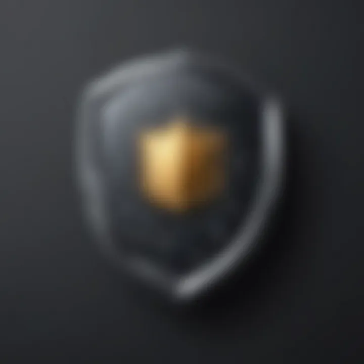 Illustration symbolizing digital privacy protection
