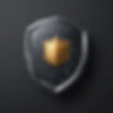 Digital Privacy Shield Illustration symbolizing digital privacy protection