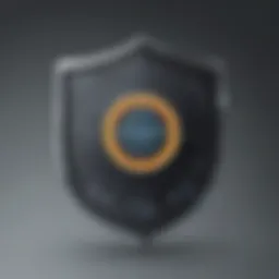 Validation Shield