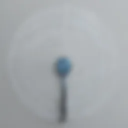 WiFi Signal Propagation